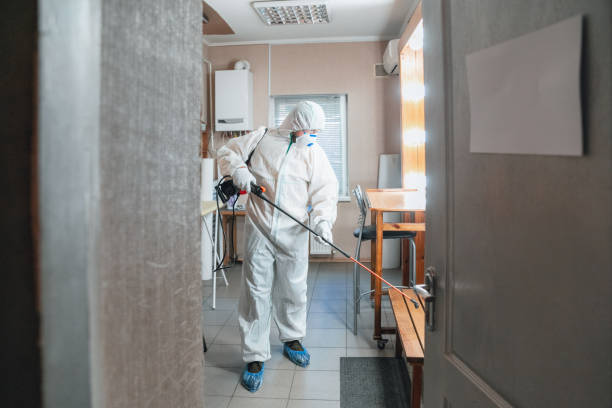 Best Residential Mold Inspection & Testing  in Gibbon, NE