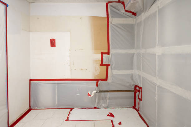 Best Post-Construction Mold Inspection  in Gibbon, NE