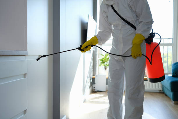 Best Asbestos and Lead Testing During Mold Inspection  in Gibbon, NE