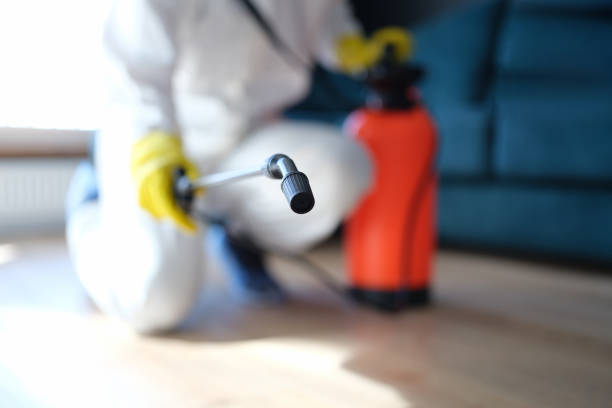 Best Crawl Space Mold Remediation  in Gibbon, NE