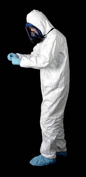 Best Attic Mold Removal  in Gibbon, NE
