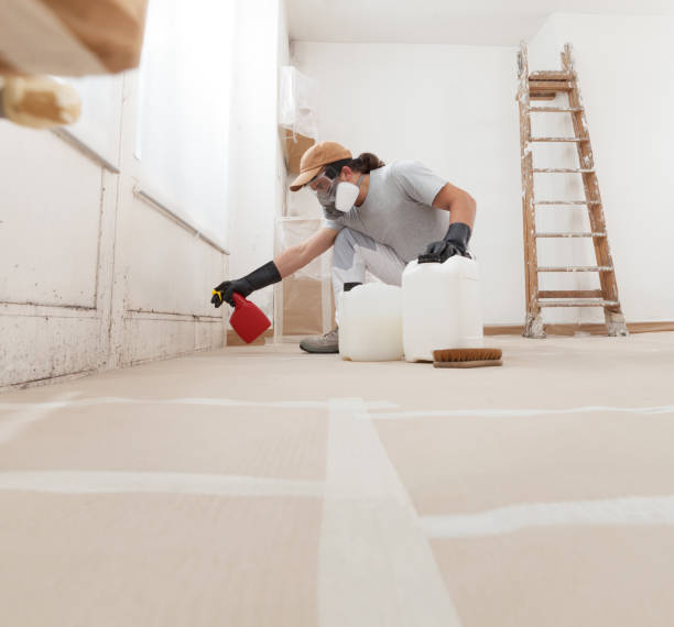 Mold Remediation for Rental Properties in Gibbon, NE
