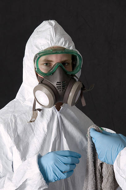 Best Attic Mold Removal  in Gibbon, NE